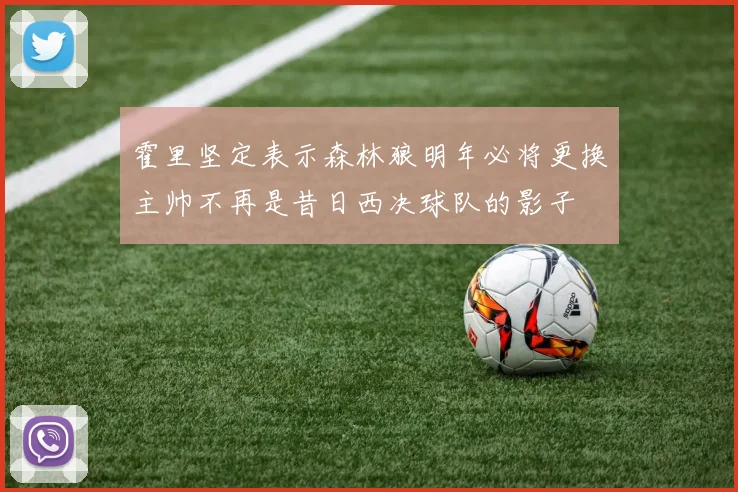 霍里坚定表示森林狼明年必将更换主帅不再是昔日西决球队的影子