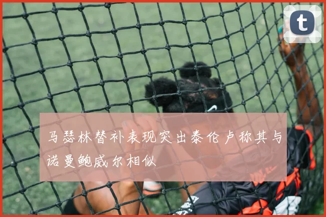 马瑟林替补表现突出泰伦卢称其与诺曼鲍威尔相似